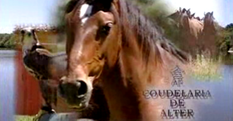 Três Andamentos – Episódio 1