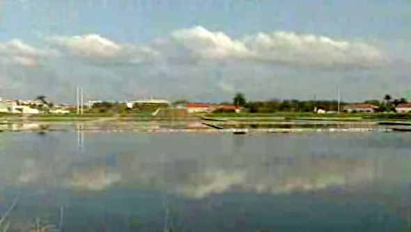 Ecologia – a Central Nuclear e a  Nova Ponte