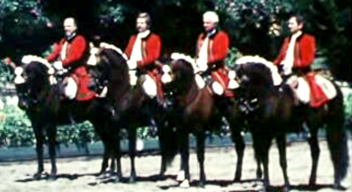 Arte Equestre Portuguesa