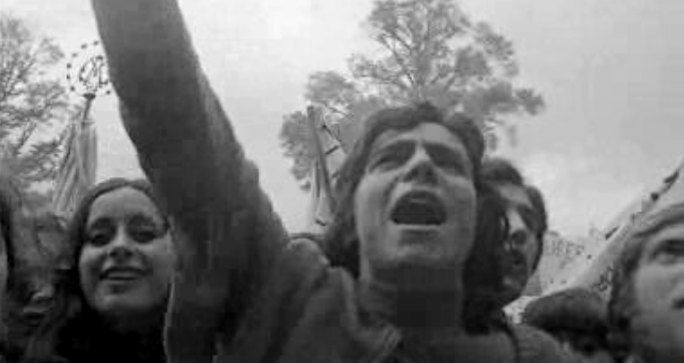 Manifestação de apoio ao MFA