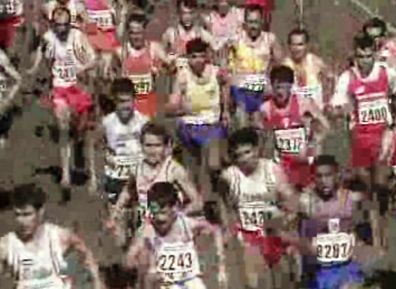 Campeonato Nacional de Corta Mato