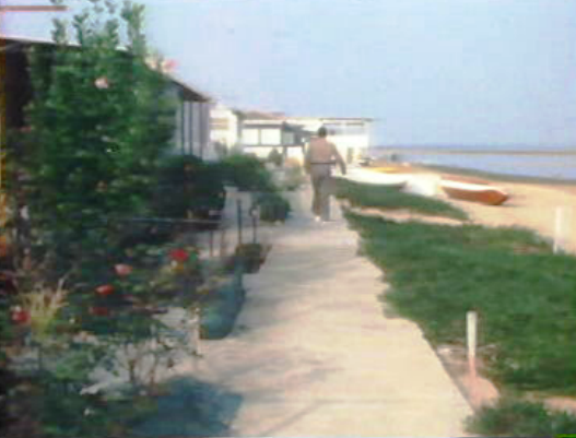 Habitação clandestina na Ria Formosa