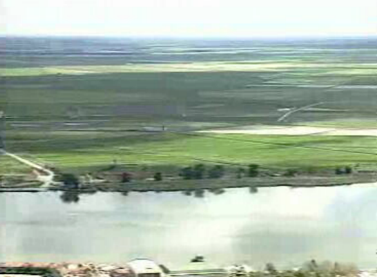 Hermínio Martinho exonerado