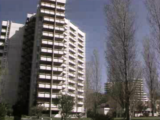 Manifestação de trabalhadores da Torralta