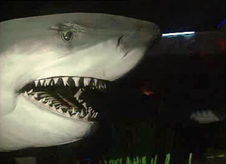 Exposição no Jardim Zoológico de Lisboa