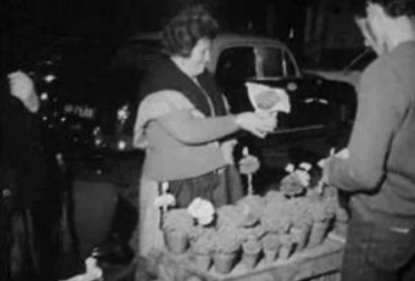 Festas dos Santos Populares em Lisboa