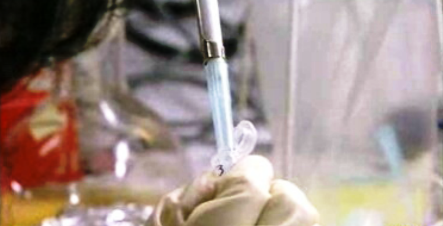 SIDA – A Mais Completa Fragilidade