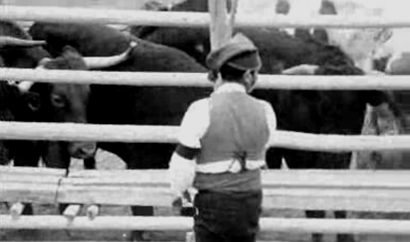 24ª Feira Agrícola do Ribatejo