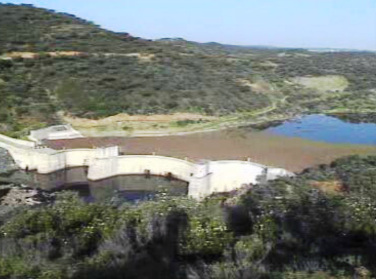 Surto de azola no rio Guadiana