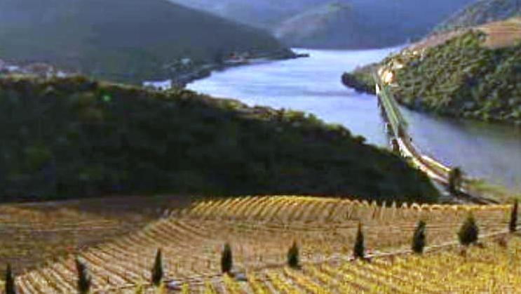 Douro para Sempre e Pico do Mundo