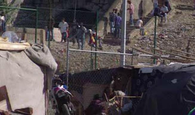 A Nova Peste Branca – Parte II