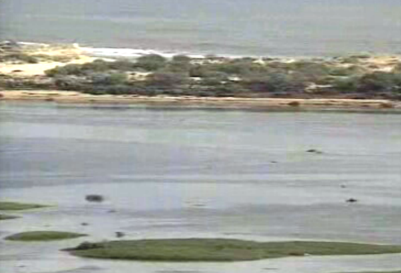 Mau tempo na Ria Formosa