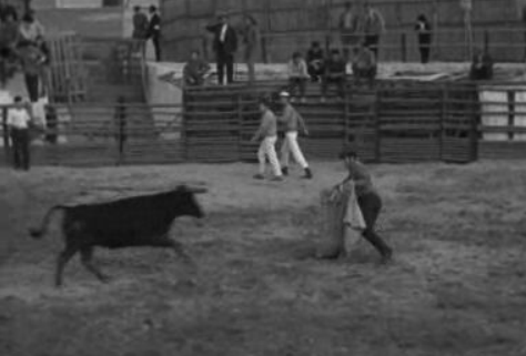 Festas do Divino Espírito Santo