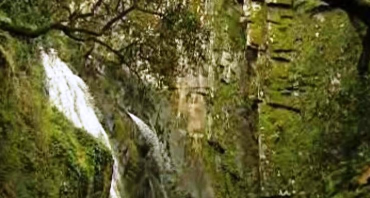 Novos Contos da Floresta – Parte I