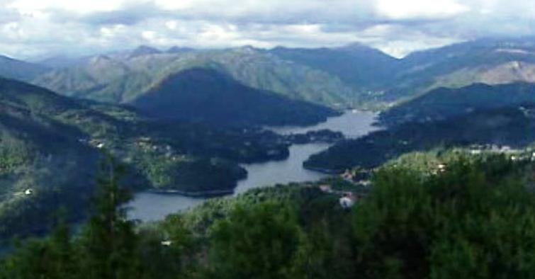 Novos Contos da Floresta – Parte II