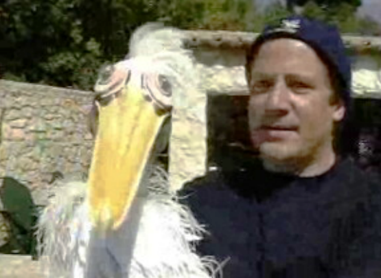 Aniversário de Herman José