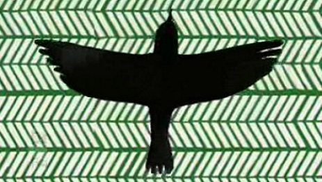 Este Livro Está a Chamar-te – Não Ouves?