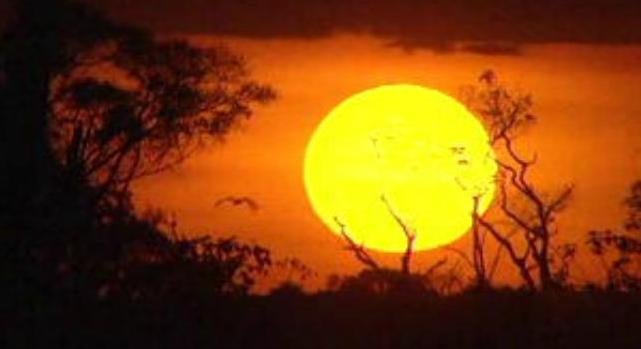 Viver a Morte – Parte II