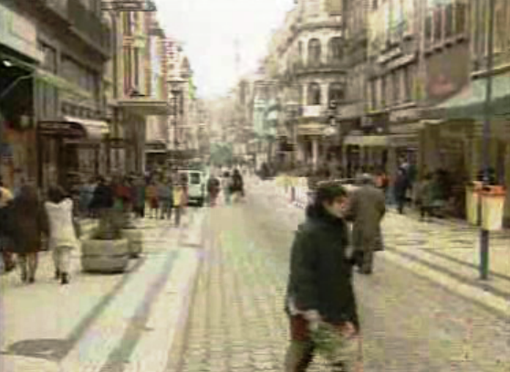 Retrato social do Porto