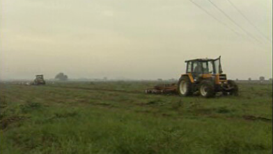 Com o Suor do Teu Rosto