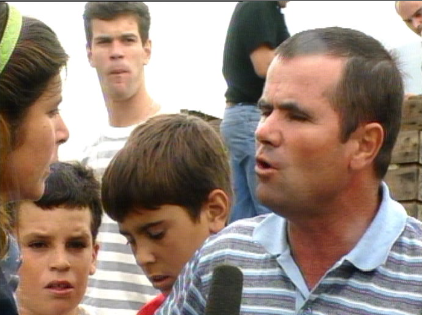 Distribuição de fruta