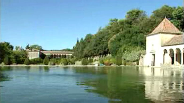 O Jardim Desapareceu – Pt. I