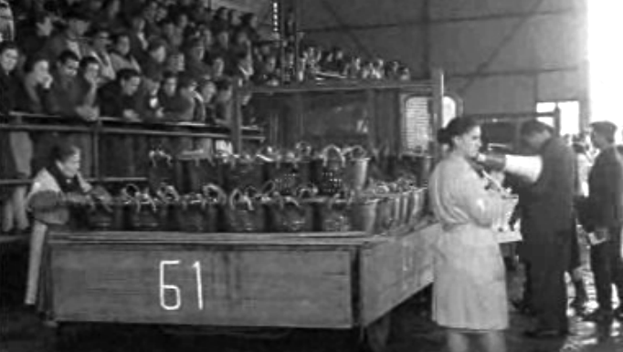 A Lota de Matosinhos