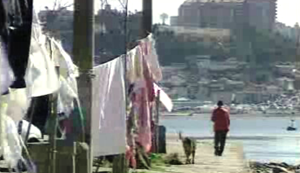 Do Bolhão… à Cantareira