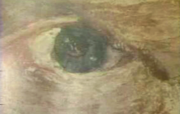 Exposição de homenagem a Van Gogh