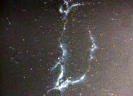 Exposição de Vítor dos Reis