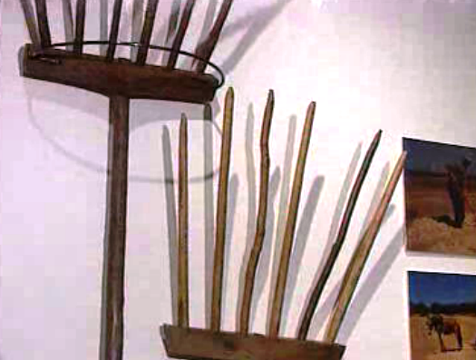 Exposição “Terra Mãe / Terra Pão”