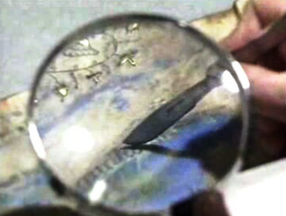 Exposição “Do Bisturi ao Lazer”