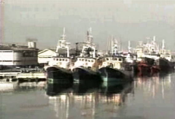 Pescadores de Aveiro voltam à faina