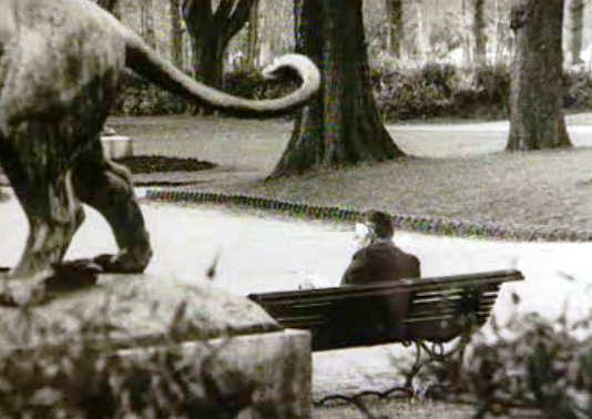 Exposição fotográfica “Promenades des Parisiennes”