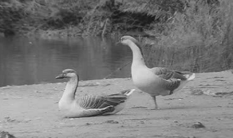 António Gedeão: de Mais Infinito a Menos Infinito – Parte II