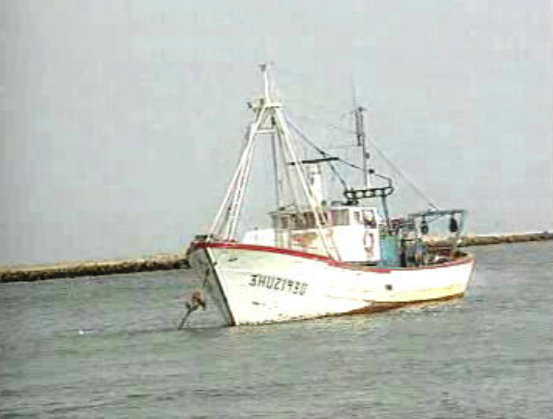 Pesca ilegal na costa algarvia