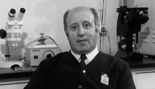 Génios: Indispensáveis ou Económicos