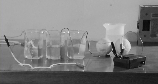 O Preço e o Valor do Homem da Ciência