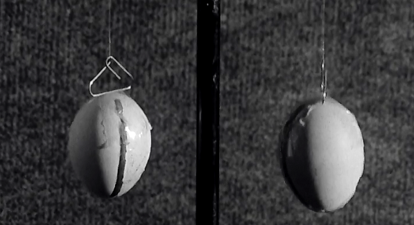 Na Austeridade Prioridade para a Ciência