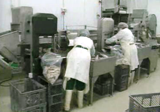 Fiscalização aos congelados de importação