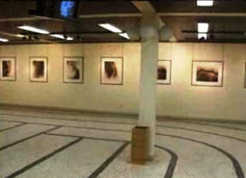 10º aniversário da Galeria Barata