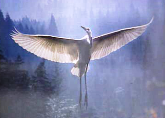 Exposição de fotografia em Évora