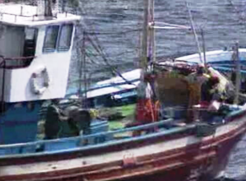 Plano para a pesca da sardinha