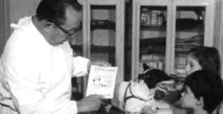 A Necessidade da Vacinação dos Cães Contra a Raiva