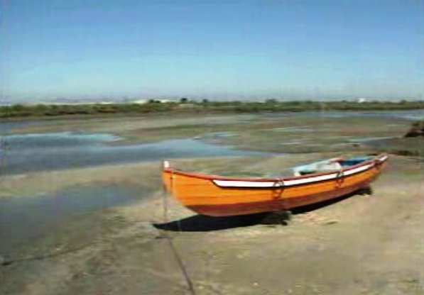 Ambientalistas contra acordo europeu para ponte sobre o Tejo