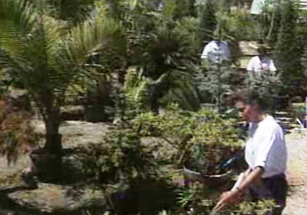 Regras para o subsídio de desemprego