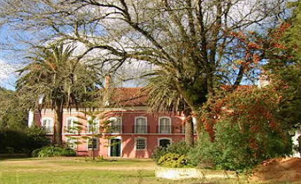 Ajuste de Contas – Episódio 81