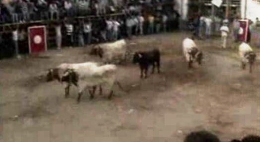 Jornalistas perseguidos em Barrancos