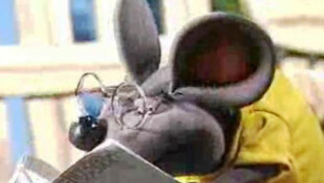 O Cantinho da Bébé