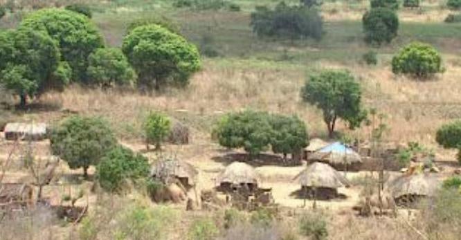 Vêm aí os Boers! – Parte II